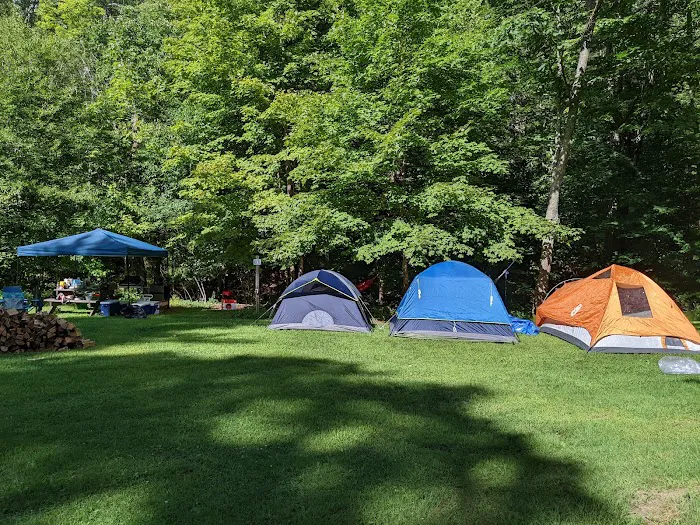 Neversink River Campgrounds Picture 8