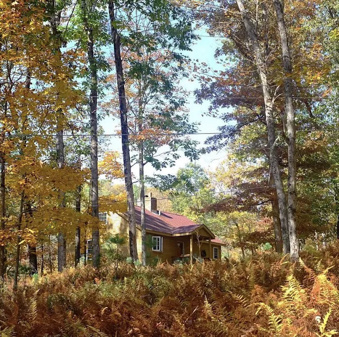 Sylvania Tree Farm Picture 5