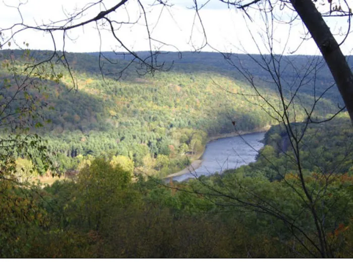 Sylvania Tree Farm Picture 8