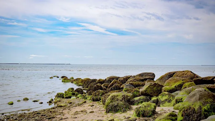 Grove Beach Picture 4