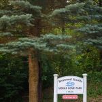 Benwood Knolls