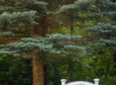 Benwood Knolls