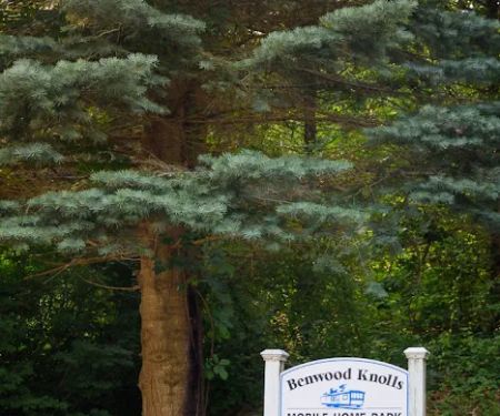 Benwood Knolls