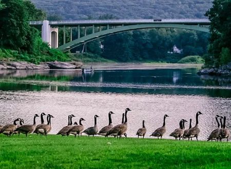 Narrowsburg Campground (Lander's River Trips)