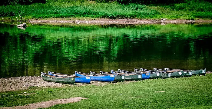 Narrowsburg Campground (Lander's River Trips) Picture 4