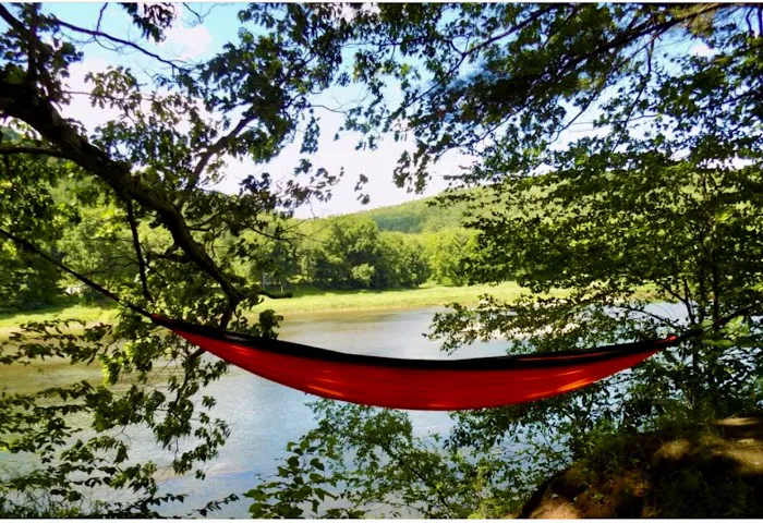 Narrowsburg Campground (Lander's River Trips) Picture 5