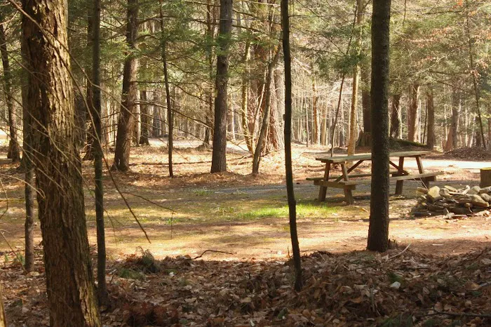 Happy Days Campground Picture 3