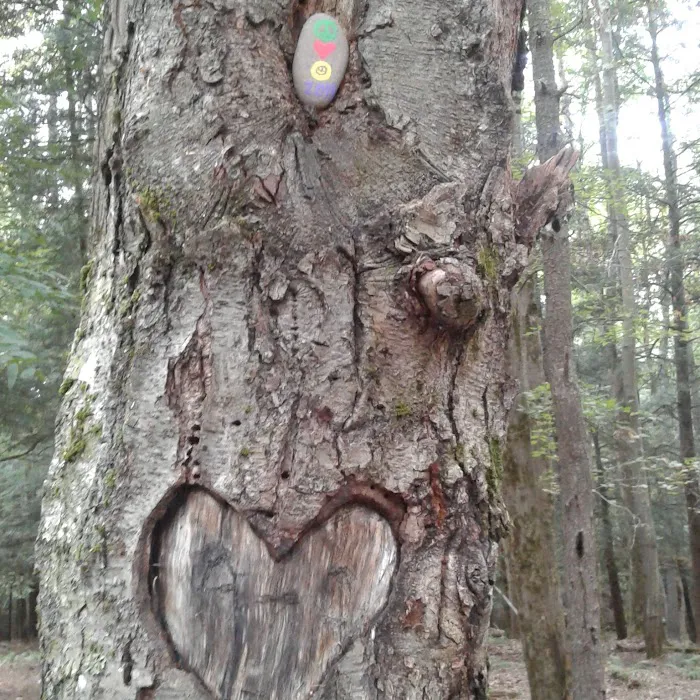 Happy Days Campground Picture 8