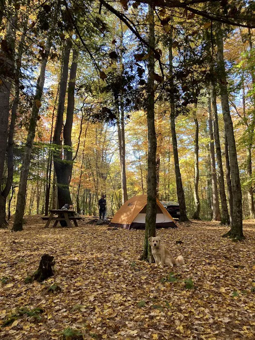 Happy Days Campground Picture 6