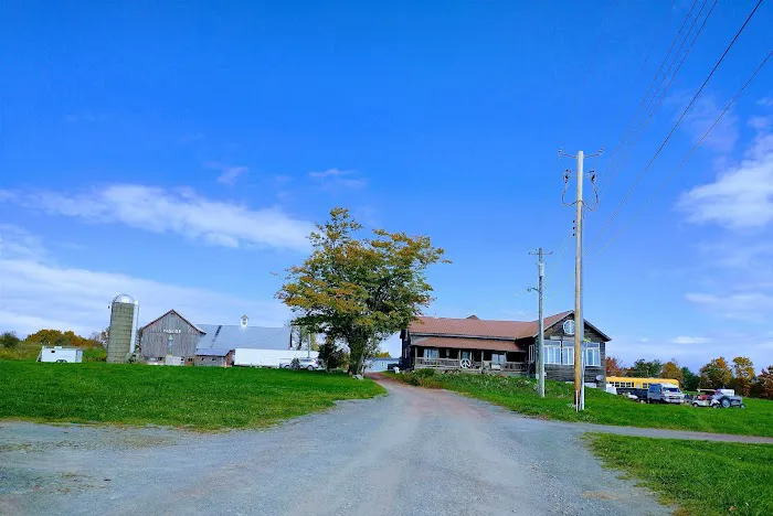 Yasgur Road Picture 4