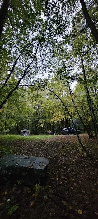 White Deer Campsite Picture 3