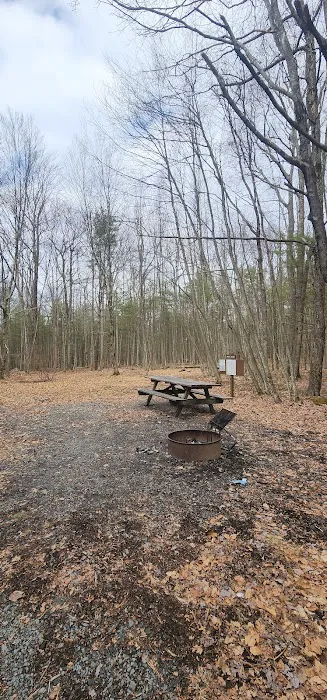 White Deer Campsite Picture 7