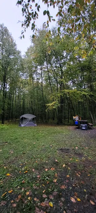 White Deer Campsite Picture 10