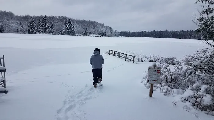 Pickerel Point Campground Picture 1