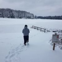 Pickerel Point Campground ico