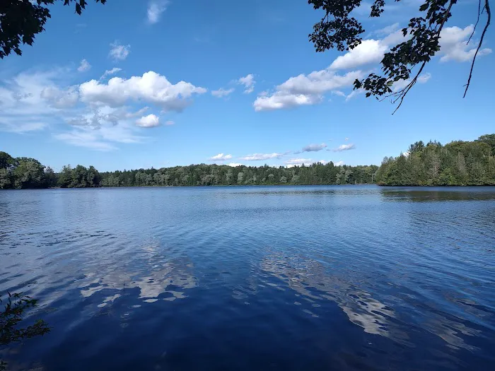Pickerel Point Campground Picture 2