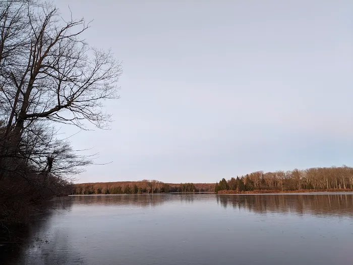 Pickerel Point Campground Picture 7