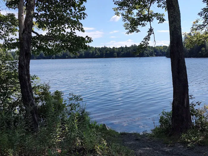 Pickerel Point Campground Picture 8