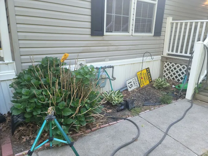 Delsea Woods Mobile Home Park Picture 3