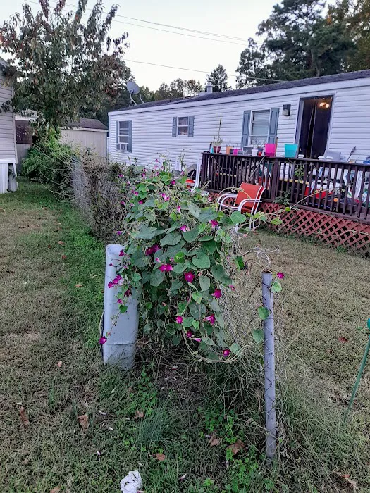 Delsea Woods Mobile Home Park Picture 6