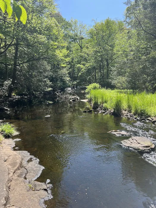 Lower Lake Campground Picture 4