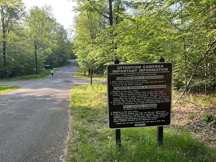 Lower Lake Campground Picture 5