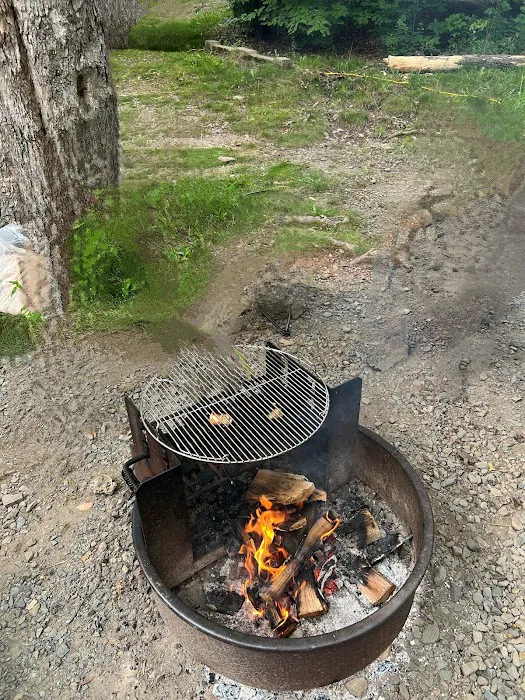 Lower Lake Campground Picture 1
