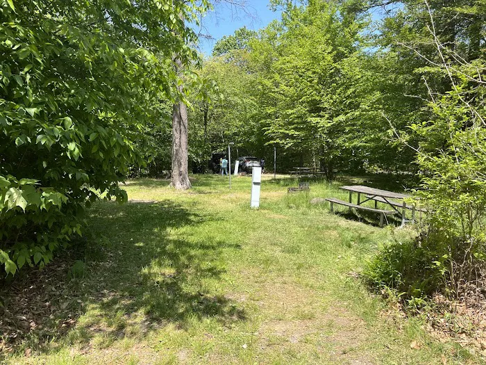 Lower Lake Campground Picture 3