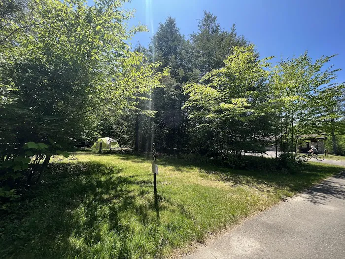 Lower Lake Campground Picture 8