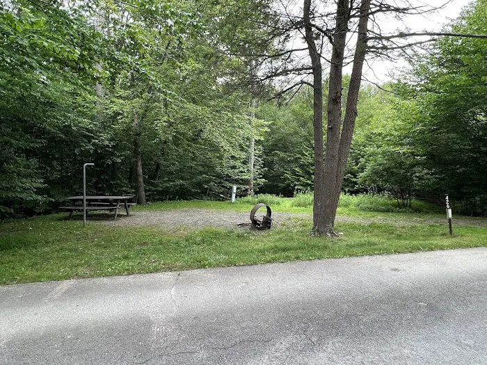 Lower Lake Campground Picture 6