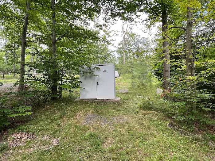 Lower Lake Campground Picture 7