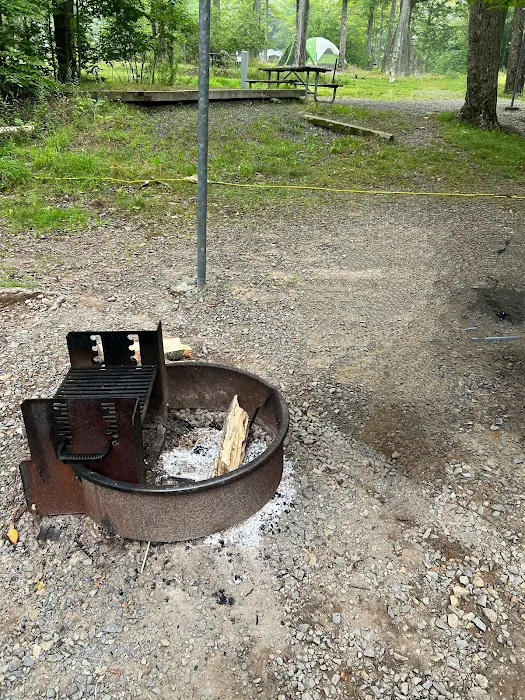 Lower Lake Campground Picture 9