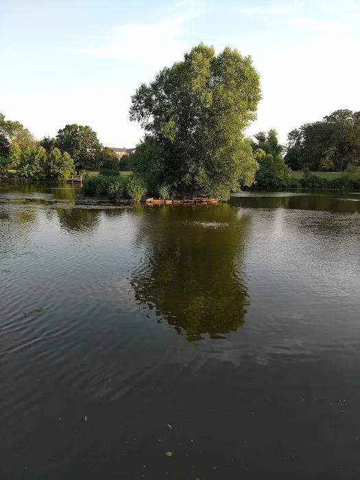 Burba Lake Cottage Picture 3