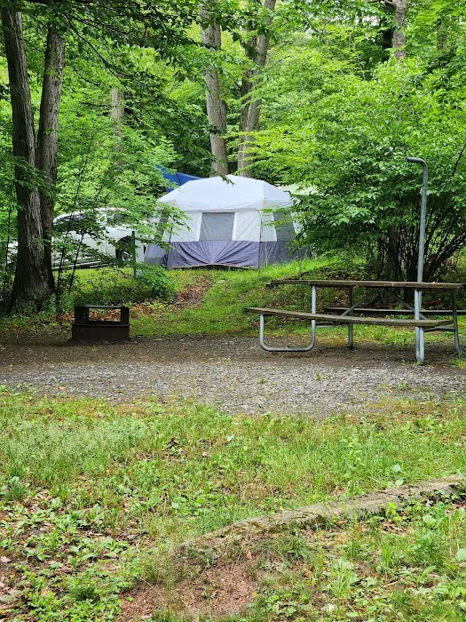 Northwoods campground Picture 5