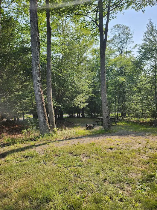Northwoods campground Picture 8