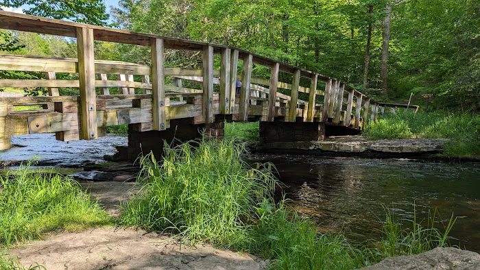 Promised Land State Park Beechwood Camping Area Picture 10