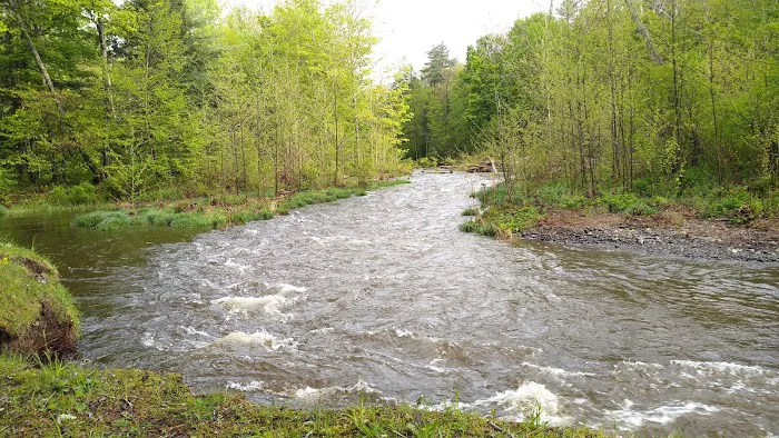 Thousand Trails Rondout Valley Picture 8