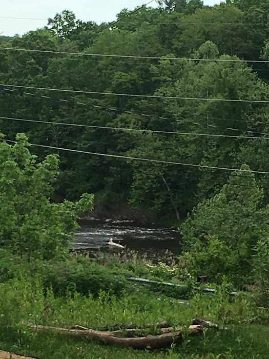 CreekView Campsites Picture 10