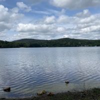 Sylvan Lake Beach Park Inc ico