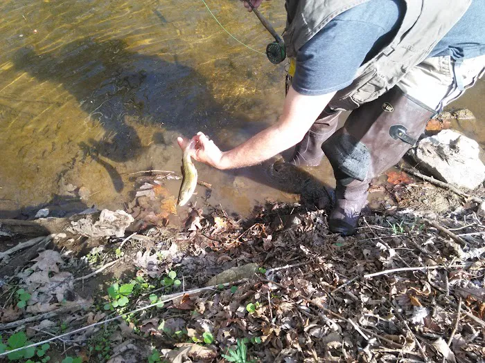 Brandywine Creek Campground Picture 9