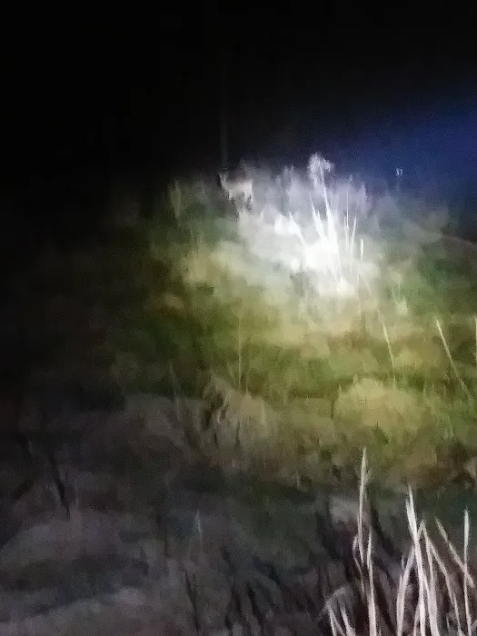 Green Valley Picture 1