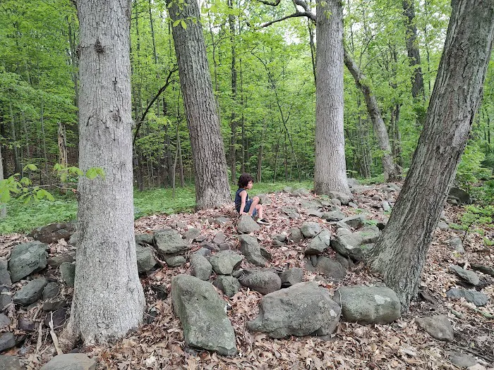 Silver Valley Campsite Picture 9