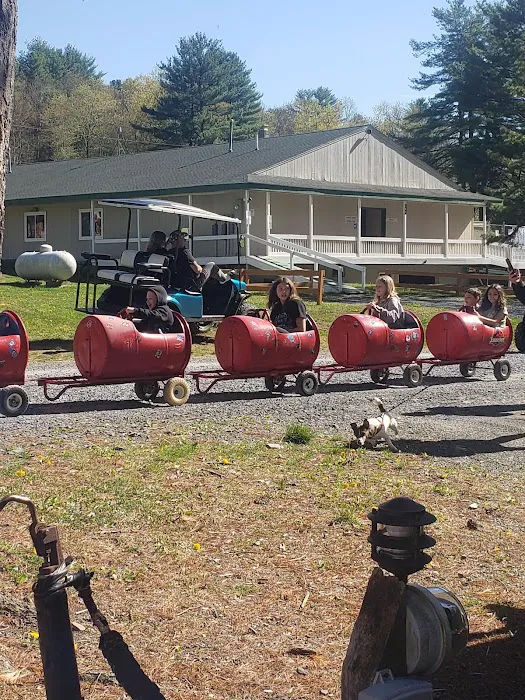 Silver Valley Campsite Picture 8