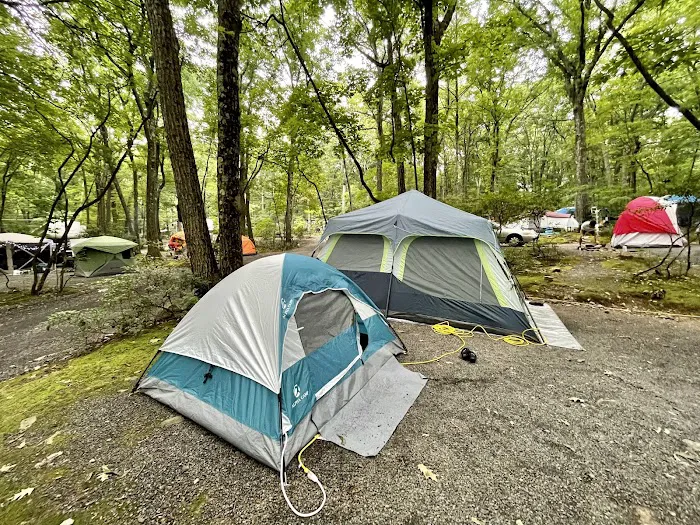 Mount Pocono Campground Picture 7
