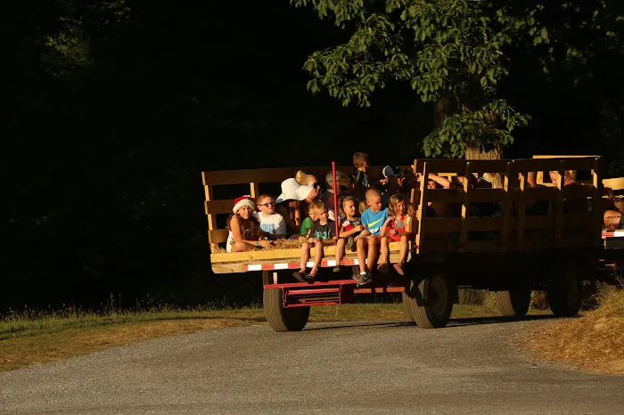 Old Cedar Campground Picture 3