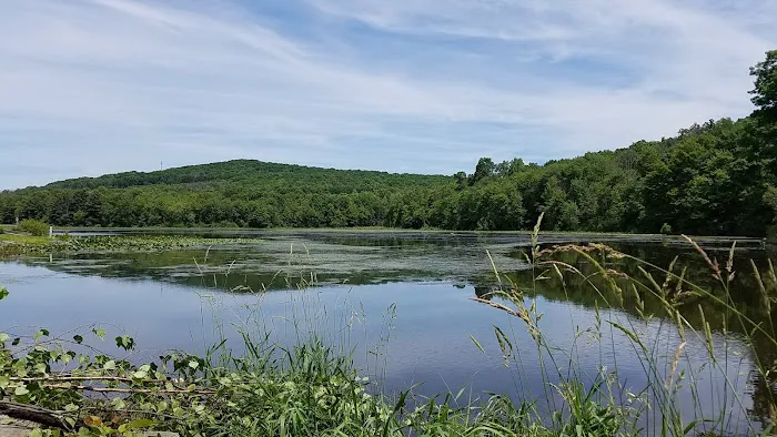 Oakwood Lake Village Picture 6