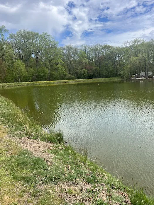 Four Seasons Family Campground Picture 4