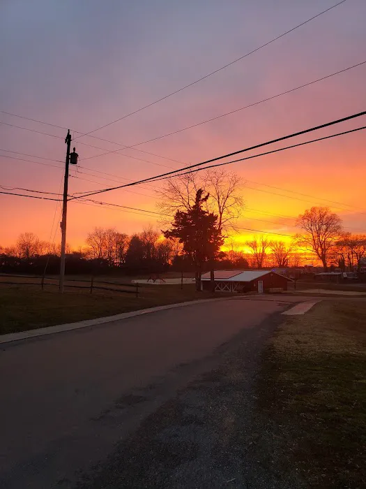 Four Seasons Family Campground Picture 10