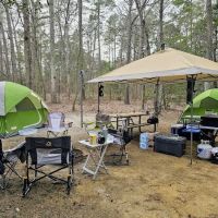 Jaggers Point Campground ico