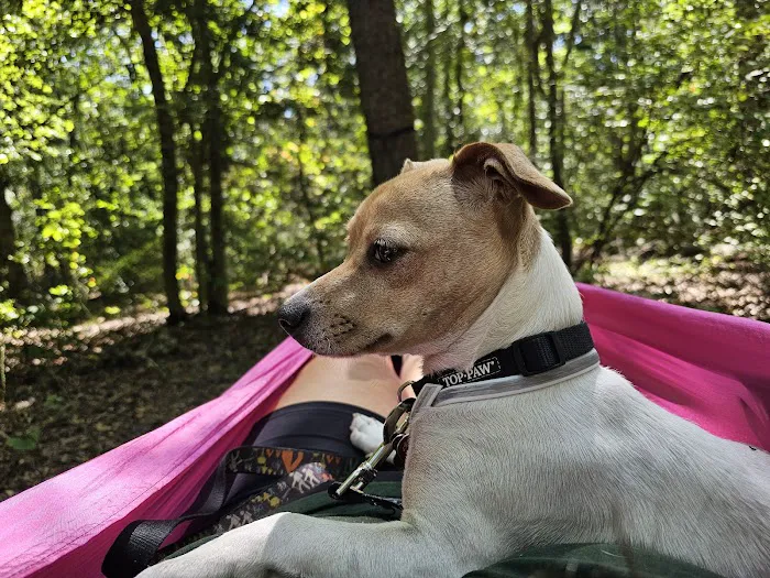 Jaggers Point Campground Picture 5
